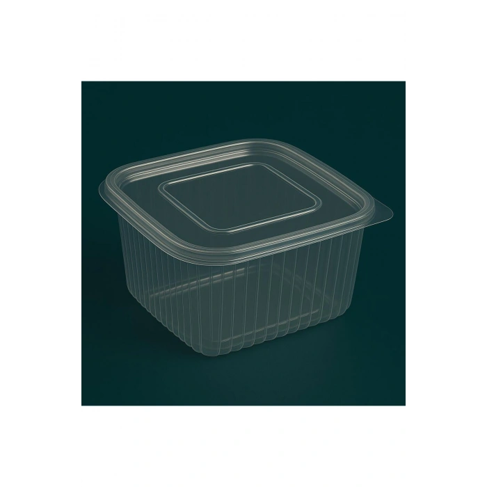 Plastik Sızdırmaz Kap 500gr/cc Kendinden Kapaklı /Çok Amaçlı Kullanım -Peynir,Kuruyemiş Kabı-10 Adet