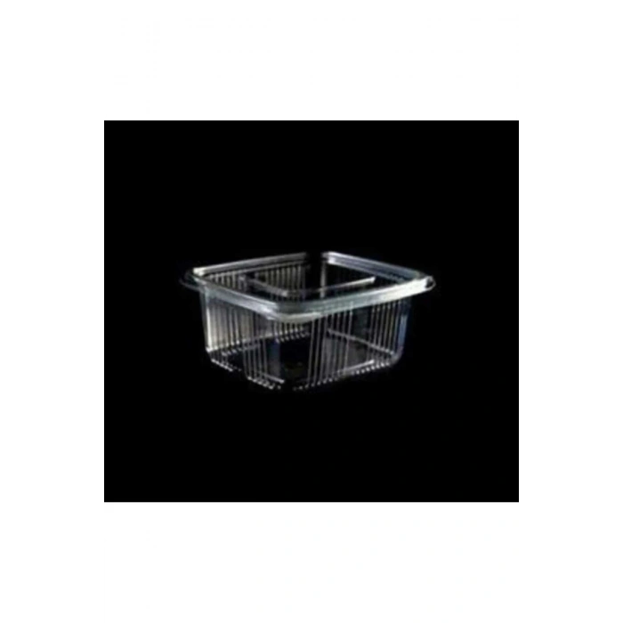 Sızdırmaz Kap Plastik Tek Kullanımlık Kap 500 gr (500cc) 50 Adet