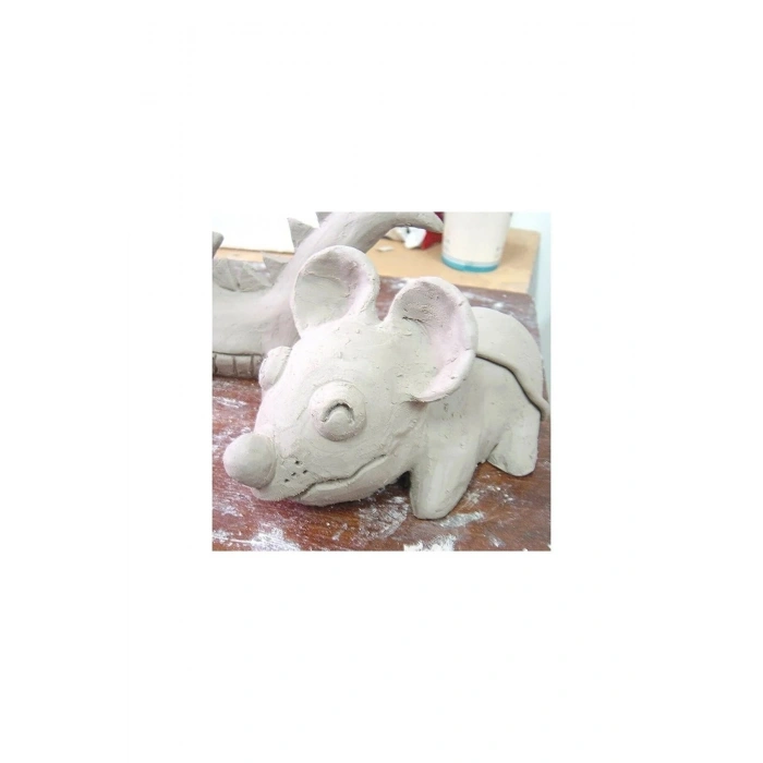 5 Adet Hava Ile Kuruyan Seramik Kil Hamuru 500 Gr Beyaz