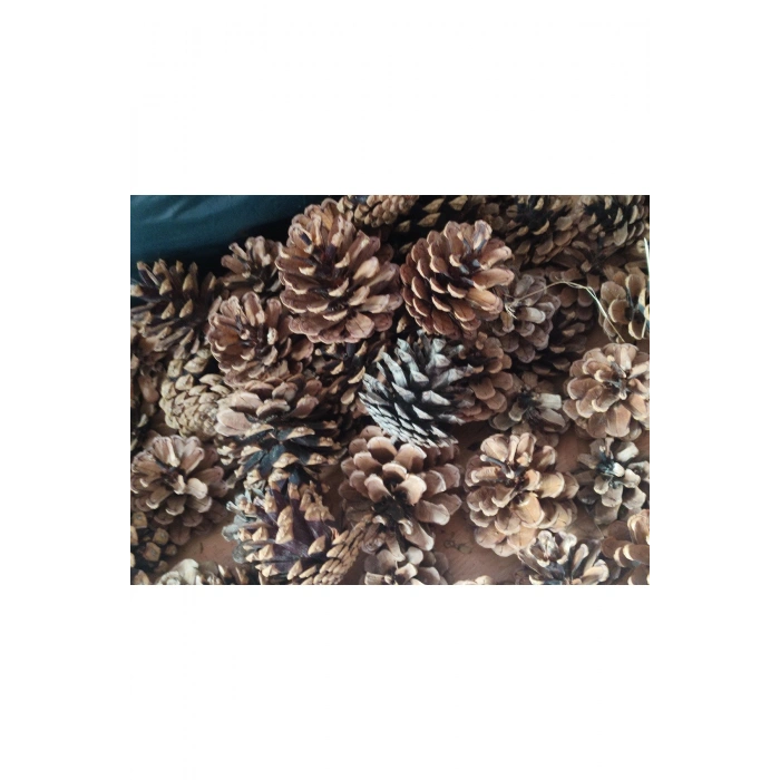 Doğal Boyasız Orta Boy Kozalak Yılbaşı Yemek Masası Çam Süsü 25 Adet