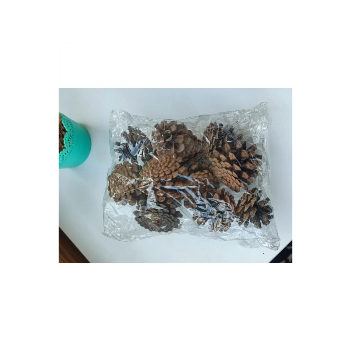 Doğal Boyasız Orta Boy Kozalak Yılbaşı Yemek Masası Çam Süsü 25 Adet