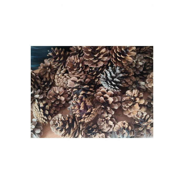 Doğal Boyasız Orta Boy Kozalak Yılbaşı Yemek Masası Çam Süsü 25 Adet