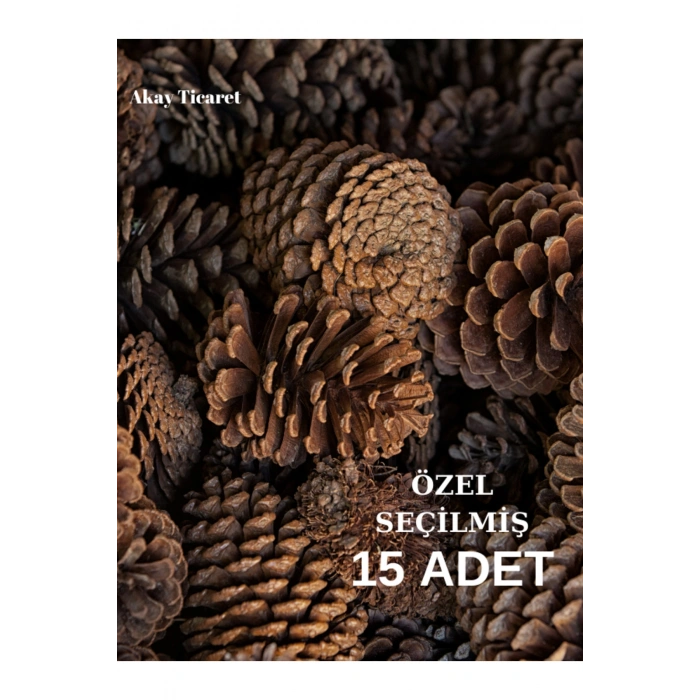 Çam Kozalağı Kaliteli Seçilmiş 15 Adet Doğal Çam Doğal Dekoratif Süsleme Kozalak Yılbaşı Süsü