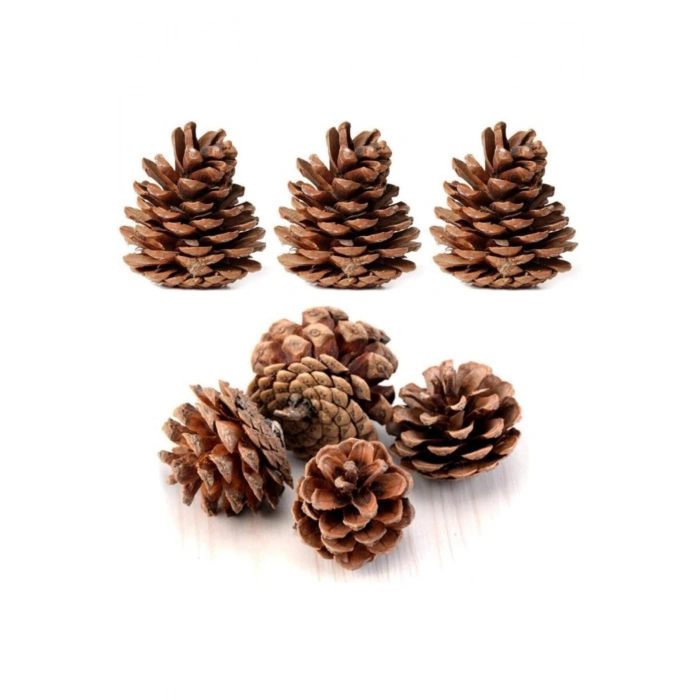 Doğal Çam Ağaçı Dekoratif Hediyelik Yılbaşı Parti Süsü Naturel Kozalak Seti 20 Adet