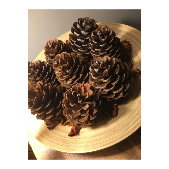 Doğal Çam Ağaçı Dekoratif Hediyelik Yılbaşı Parti Süsü Naturel Kozalak Seti 20 Adet