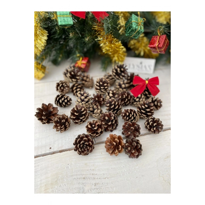 Kozalak Dekoratif Kış Süsü 10 Adet Mini Yılbaşı Süsleri Yılbaşı Ağacı Süsü Doğal Çam Kozalağı