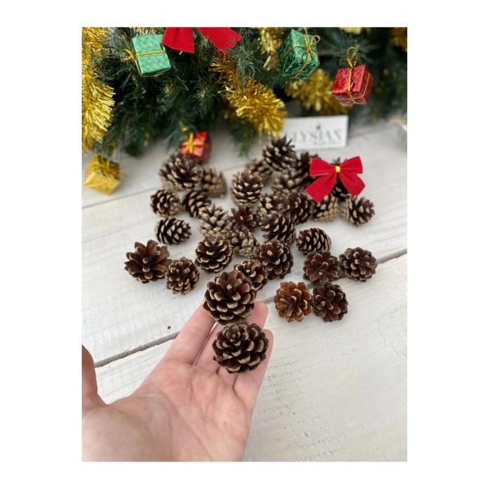 Kozalak Dekoratif Kış Süsü 10 Adet Mini Yılbaşı Süsleri Yılbaşı Ağacı Süsü Doğal Çam Kozalağı