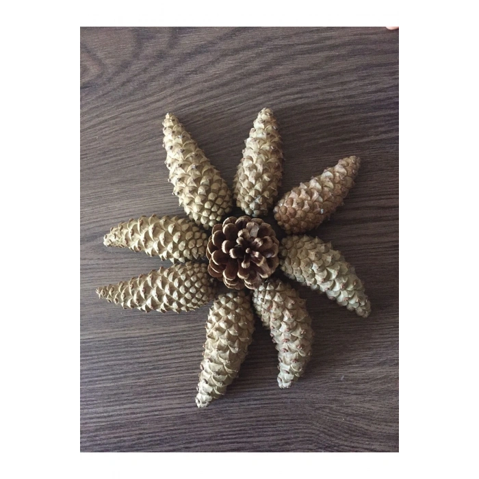 100 ADET Yılbaşı Süsü Ve Masa-sehpa Dekoru Doğal Çam Kozalağı 3-10cm Aralığında