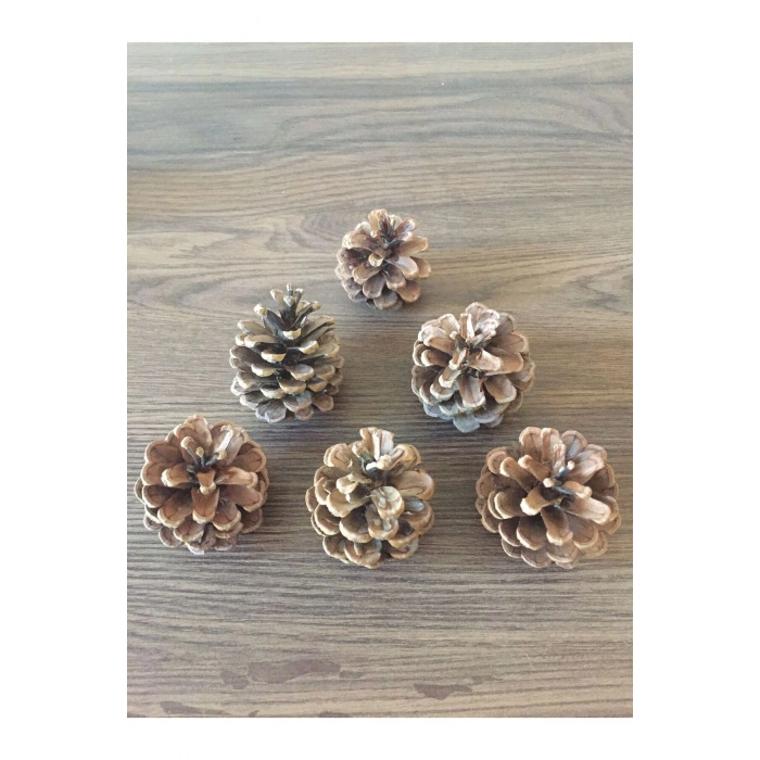 100 ADET Yılbaşı Süsü Ve Masa-sehpa Dekoru Doğal Çam Kozalağı 3-10cm Aralığında