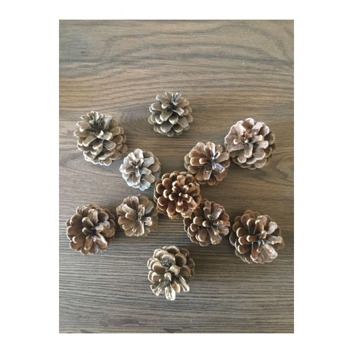 100 ADET Yılbaşı Süsü Ve Masa-sehpa Dekoru Doğal Çam Kozalağı 3-10cm Aralığında