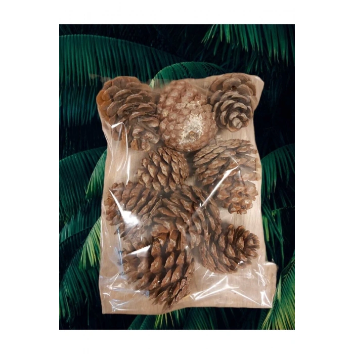 Çam Kozalağı 9 Adet Doğal Dekoratif Süs Kozalağı