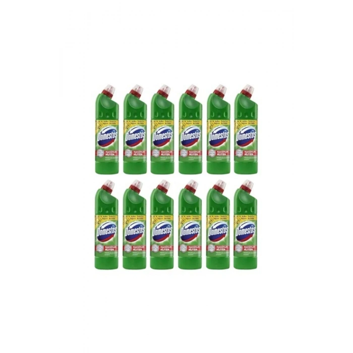 Çamaşır Suyu Dağ Esintisi 750 Ml 12 Li Set