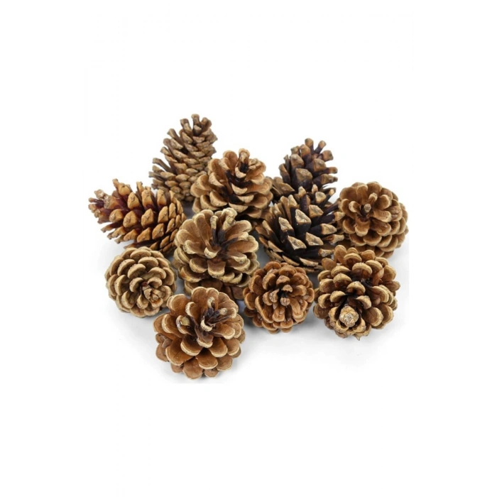 Dekoratif Doğal Çam Kozalağı Pinecone Kozalak 10 Adet