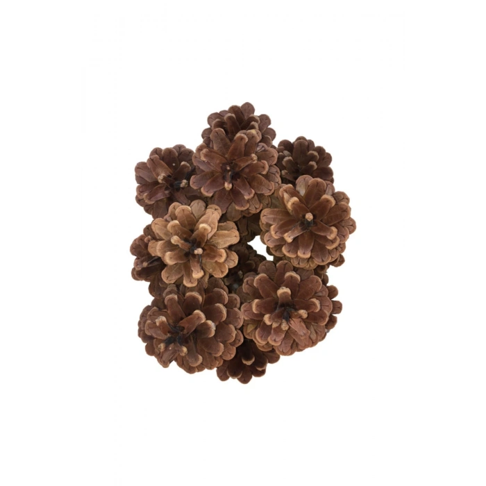 Doğal Gerçek Çam Kozalağı 15 Adet Kozalak -dekoratif Kozalak -süs Kozalağı-boyanabilir