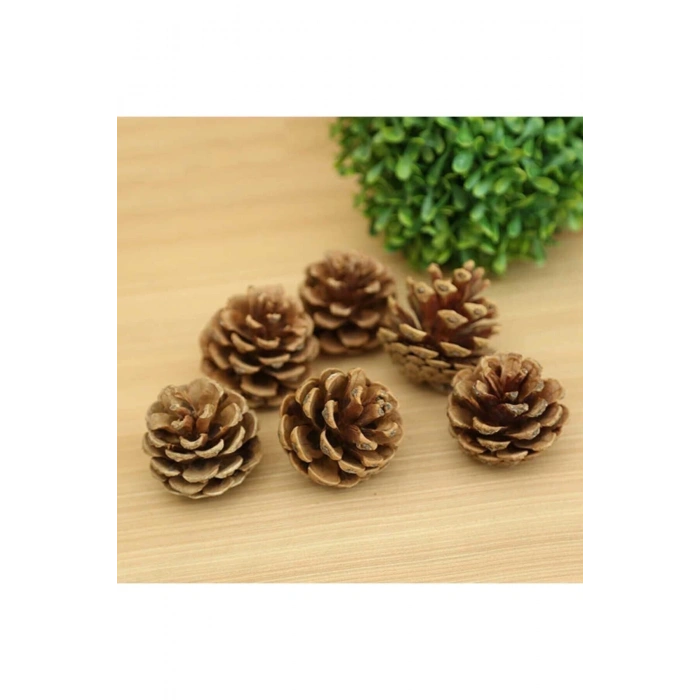 Ev Dekorasyon Ürünleri Boyasız Doğal Kozalak 10lu