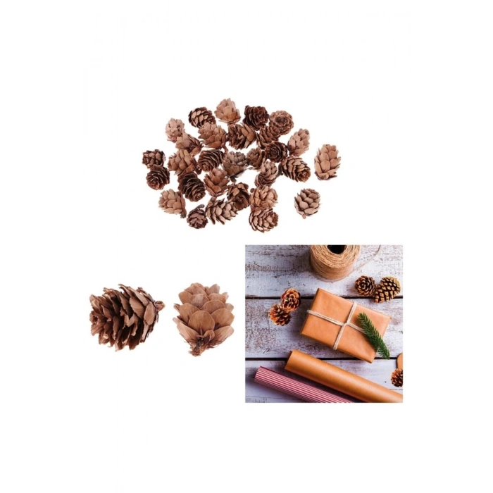 Ev Dekorasyon Ürünleri Boyasız Doğal Kozalak 10lu