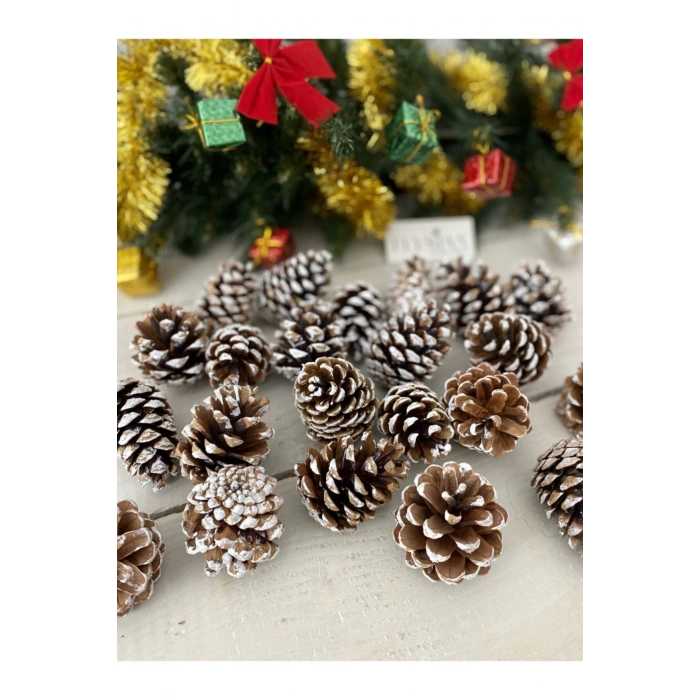 Kozalak Kar Dekorlu 20 Adet Yılbaşı Süsü Büyük Boy Kış Dekorasyonu Boyalı Çam Kozalağı