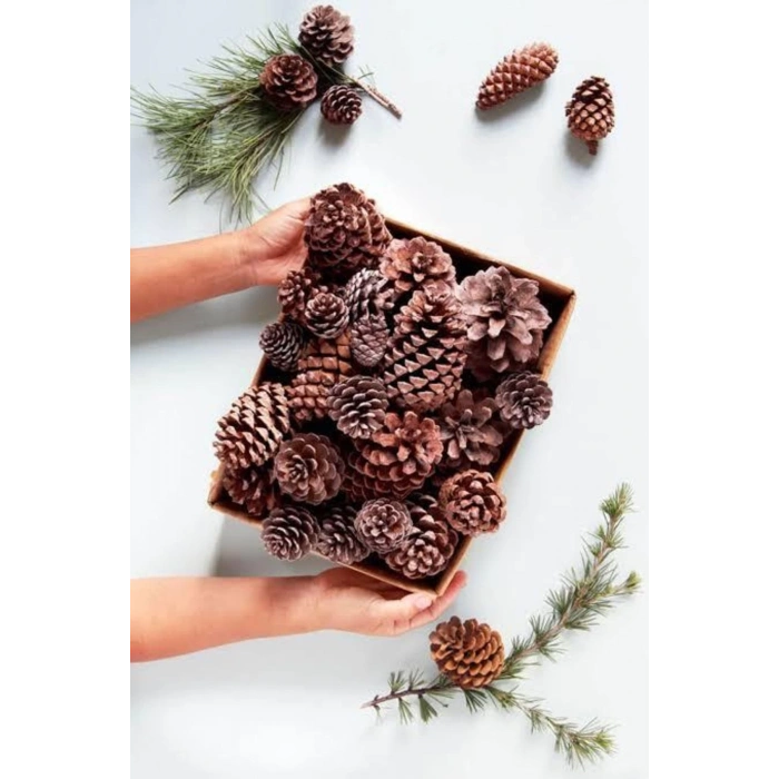 Kozalak Yılbaşı Çam Süs Doğal Dekor