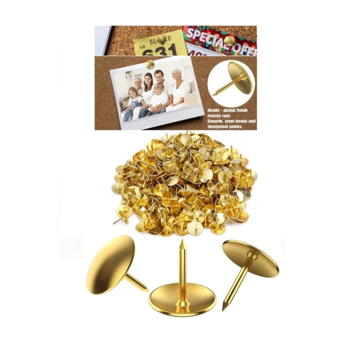 Kutulu Raptiye Toplam 320 Adet