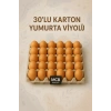 100 ADET 30lu Karton Yumurta Viyolü (100 ADET) Toptan Viyol
