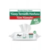 Easy Clean Yüzey Tem. Havlusu 100 x4 Adet