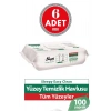 Easy Clean Yüzey Temizlik Havlusu 100 Lü X 6 Adet