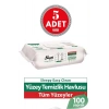 Easy Clean Yüzey Tem. Havlusu 100 x5 Adet