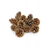 Dekoratif Doğal Çam Kozalağı Pinecone Kozalak 10 Adet