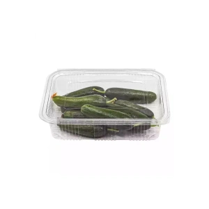 1000 Cc Kapaklı Sızdırmaz 10 Adet