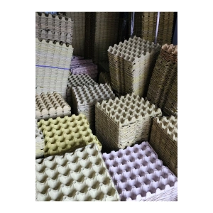 25 ADET 30lu Karton Yumurta Viyolü (25 ADET) Toptan Viyol