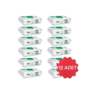 Easy Clean Yüzey Tem. Havlusu 100 x12 Adet