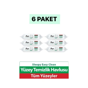 Easy Clean Yüzey Temizlik Havlusu 100 Yaprak Plastik Kapaklı (6 Lı Set) 600 Yaprak