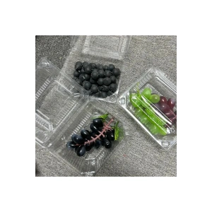 10 Adet 500 CC Peynir Kabı Yarım Kapak Sızdırmaz Kab Derin Dondurucu Pasta Meyve Kurabiye