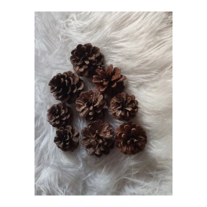 Doğal Boyasız Orta Boy Kozalak Yılbaşı Yemek Masası Çam Süsü 25 Adet