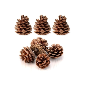 Doğal Çam Ağaçı Dekoratif Hediyelik Yılbaşı Parti Süsü Naturel Kozalak Seti 20 Adet