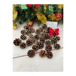 Kozalak Dekoratif Kış Süsü 10 Adet Mini Yılbaşı Süsleri Yılbaşı Ağacı Süsü Doğal Çam Kozalağı