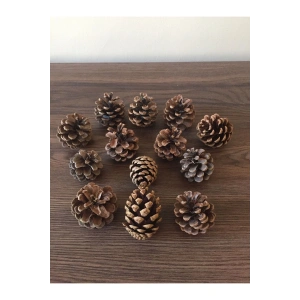 100 ADET Yılbaşı Süsü Ve Masa-sehpa Dekoru Doğal Çam Kozalağı 3-10cm Aralığında