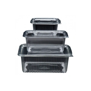 Plastik Sızdırmaz Kap (500 CC) 50 Adet