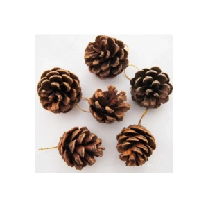 6’lı Yılbaşı Çam Ağacı Süsü Kozalak 5 Cm