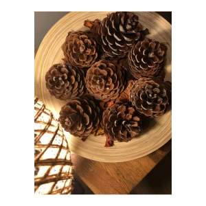 8 Adet Doğal Çam Kozalağı Dekoratif Kozalak Süs Kozalağı