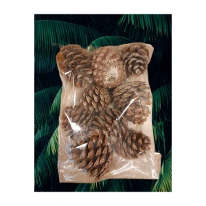 Çam Kozalağı 9 Adet Doğal Dekoratif Süs Kozalağı