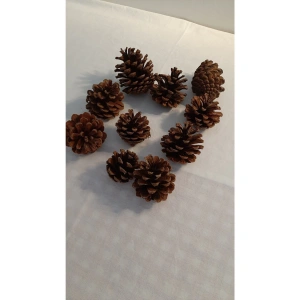 Dekoratif Doğal Kozalak 30 Adet