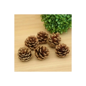 Ev Dekorasyon Ürünleri Boyasız Doğal Kozalak 10lu