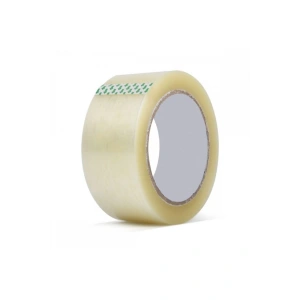 Koli Bandı 100metre