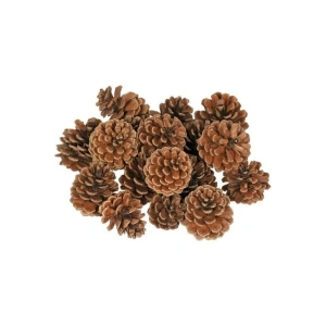 Kozalak Dekoratif Çam Kozalağı 20 Adet