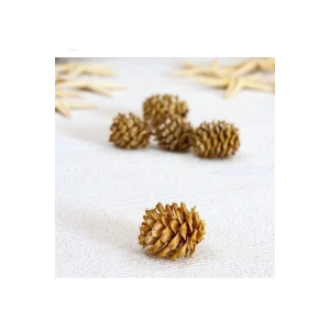 Kozalak Dekoratif Kış Süsü 10 Adet Extra Mini Yılbaşı Süsleri Yılbaşı Ağacı Süsü Doğal Çam Kozalağı