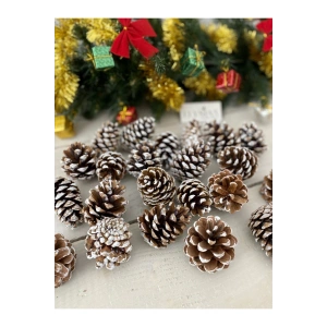 Kozalak Kar Dekorlu 20 Adet Yılbaşı Süsü Büyük Boy Kış Dekorasyonu Boyalı Çam Kozalağı