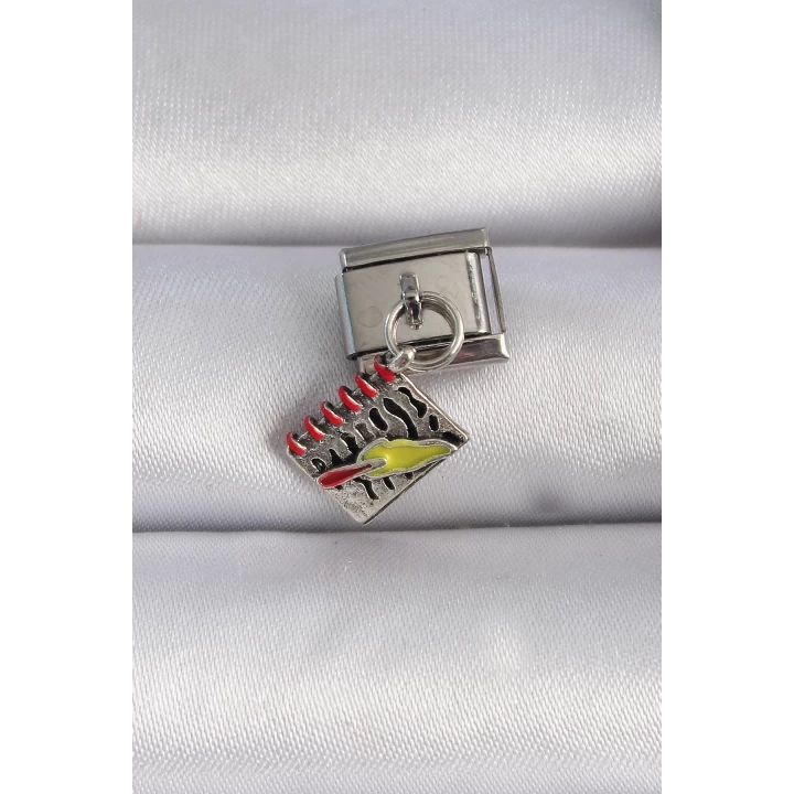316L Çelik Gümüş Renk Sallantı Defter Figür Nomination Charm - TJ-BC1055