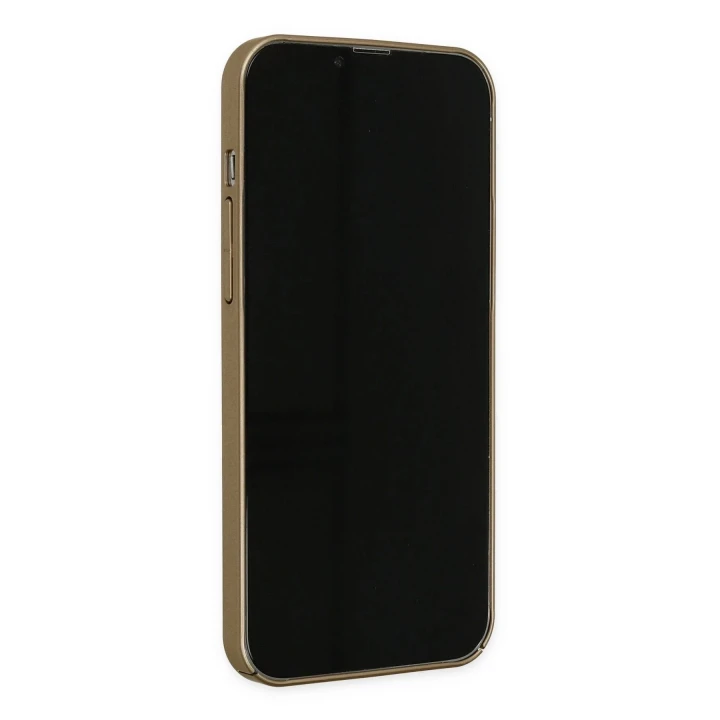 iPhone 13 Pro Kılıf Jack Magneticsafe Lens Silikon - Gold