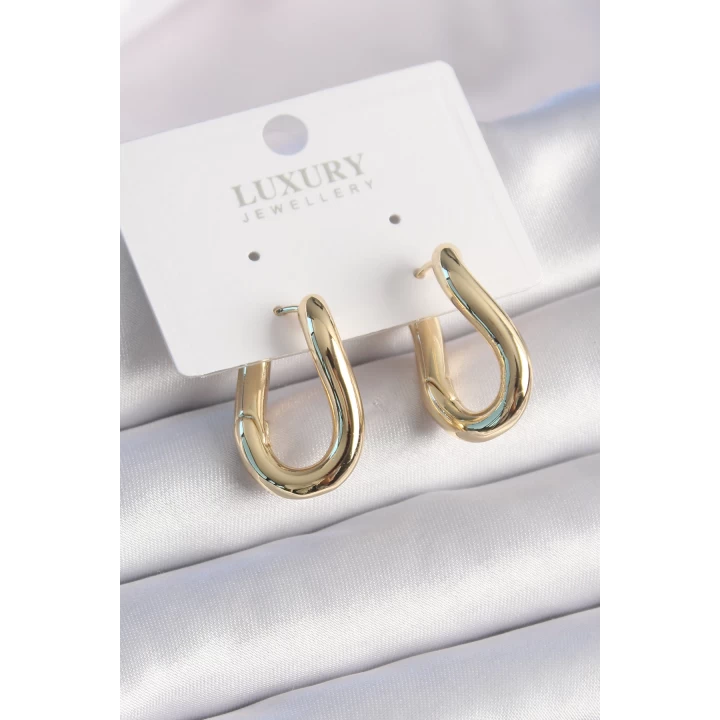 Pirinç Gold Renk Halka Model Kadın Küpe - TJ-BKP9532